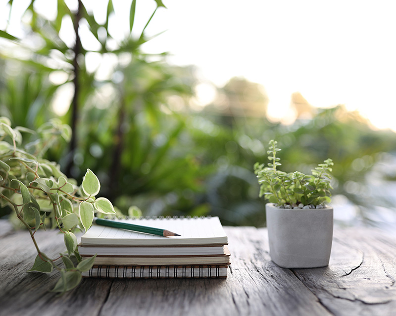 Stack of journals with plants